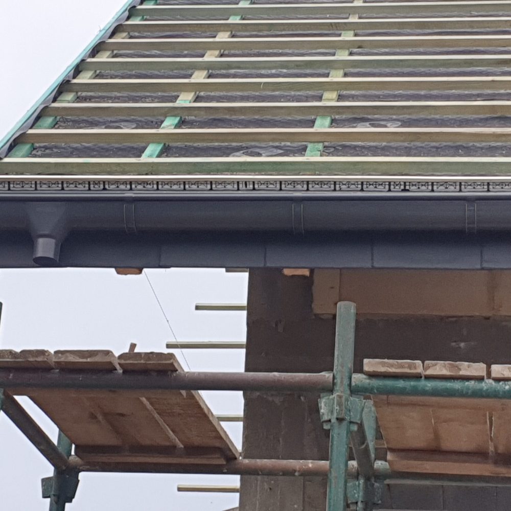 20201205_231003_6934